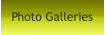 Photo Galleries